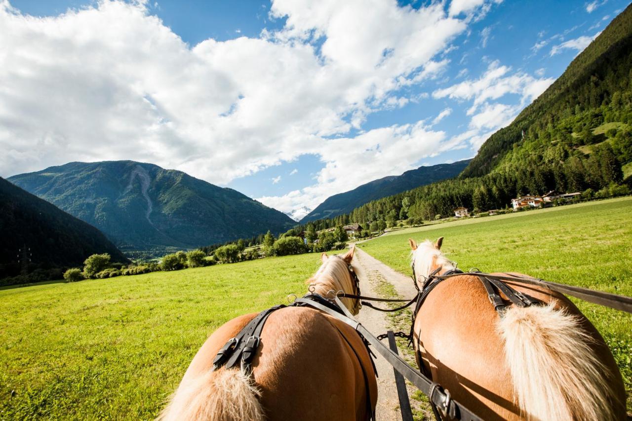 Hotel Fronza - Your Hike & Mountain Home Lutago Luaran gambar